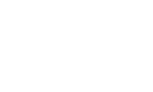 social media strategies logo