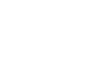 lago logo bianco