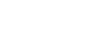 parlamento europeo logo bianco Branded Podcast Producer