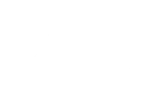 net italy logo