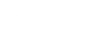 indire logo
